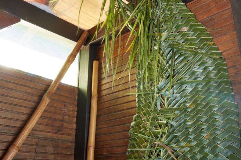 Kaz Maracudja 11.jpg