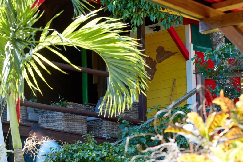 Kaz Maracudja 16.jpg