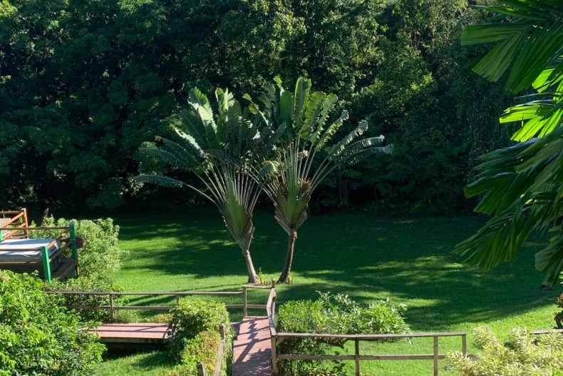 Kaz Maracudja 18705_1.jpg