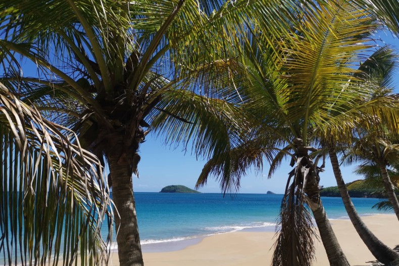 Kaz Maracudja g-perle-2.jpg