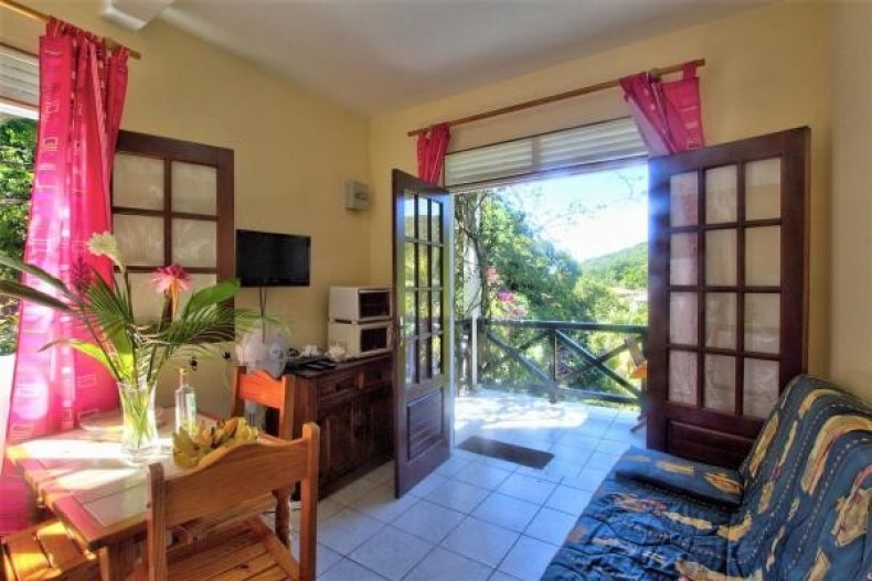 Studio - une partie de la cuisine