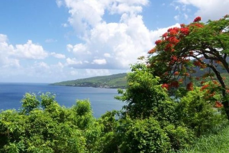 le bourg de Pointe-Noire
