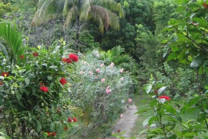 le jardin, face au gîte