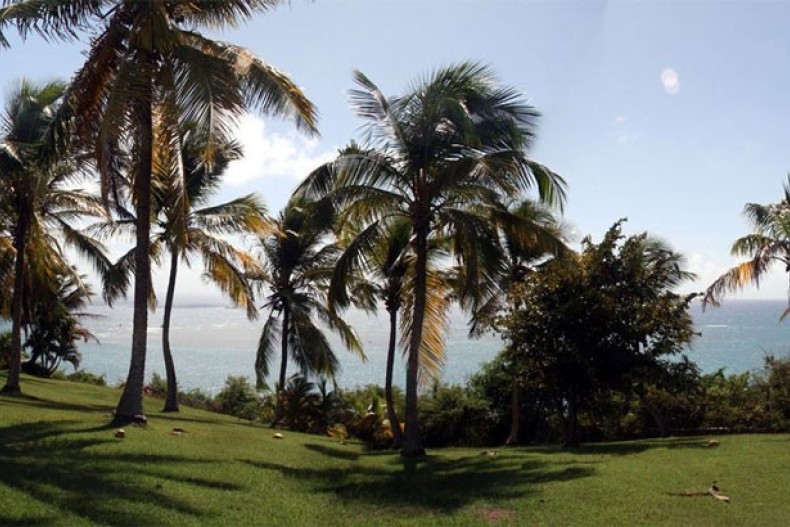 Villa Palmire 21.jpg