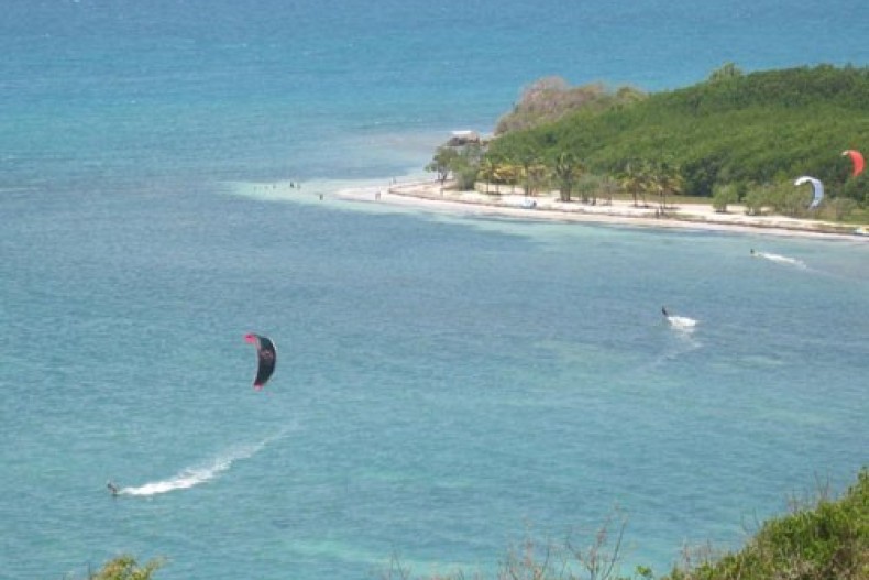 Villa Palmire 22.jpg