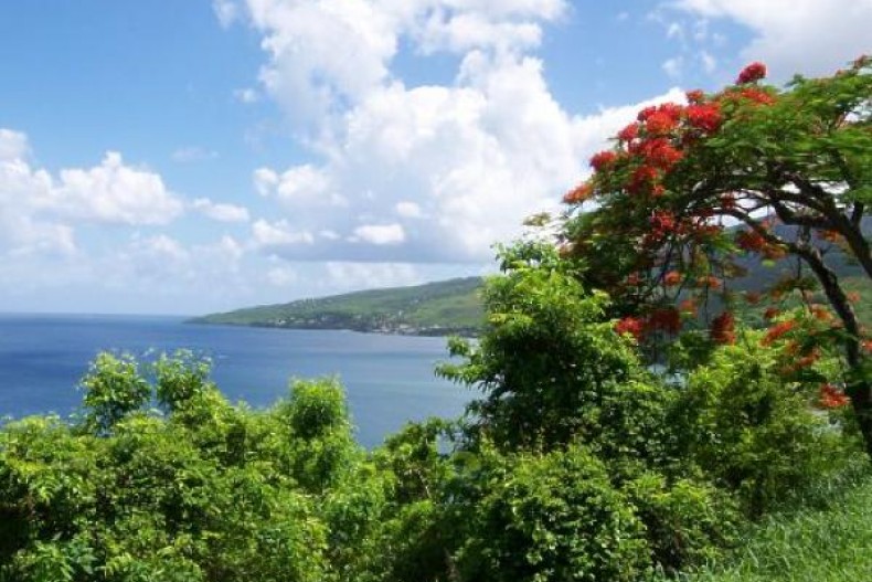 Le bourg de Pointe-Noire