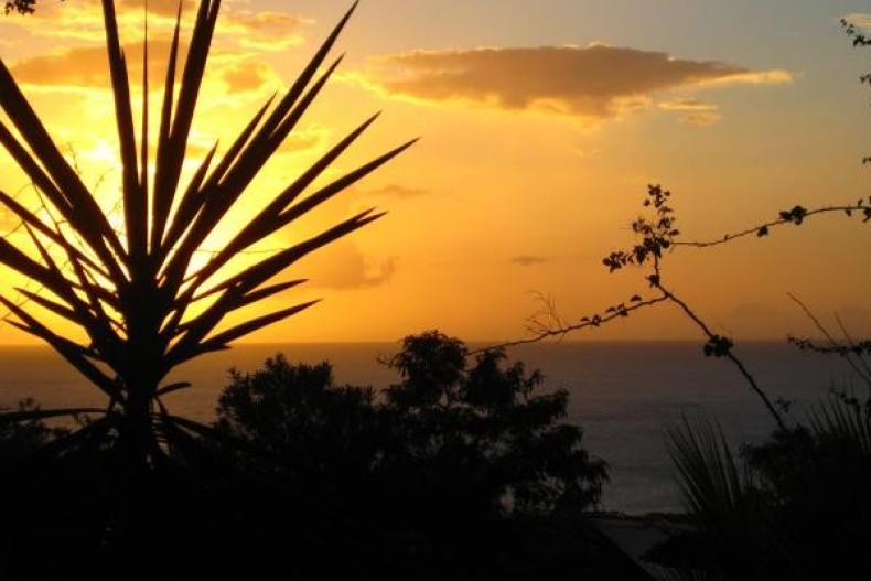 Bientôt l'heure du rayon vert !