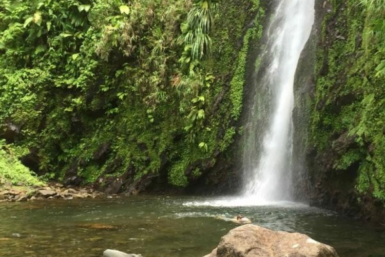 Bienvenue au paradis