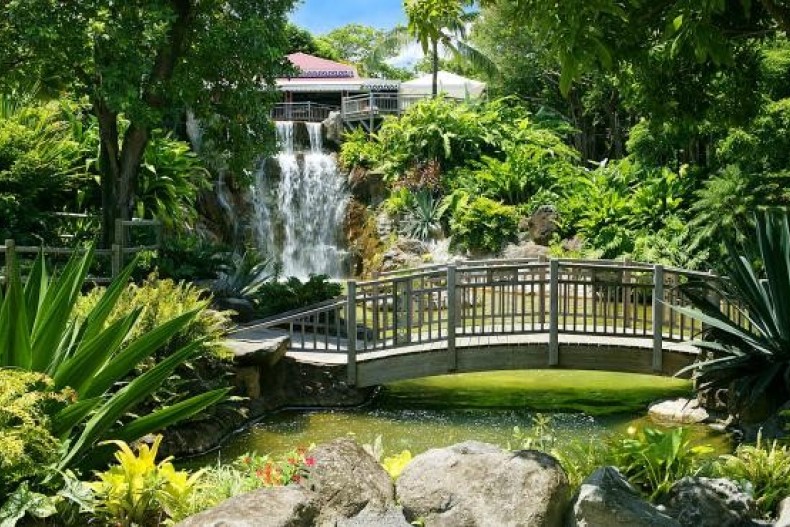 Jardin Botanique de Deshaies à 5km
