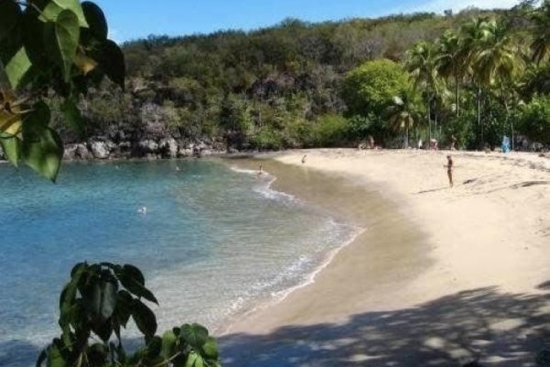 Plage de Ti-Anse à 400m de la Villa