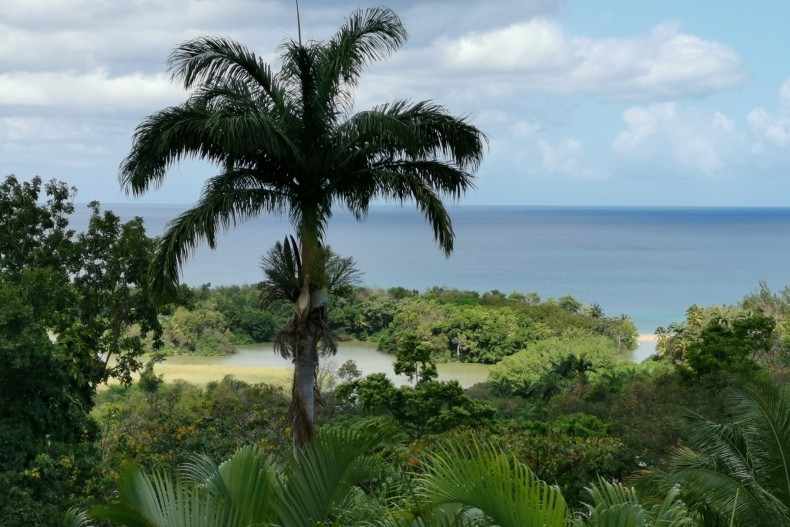 Villa Mahogany 949.jpg