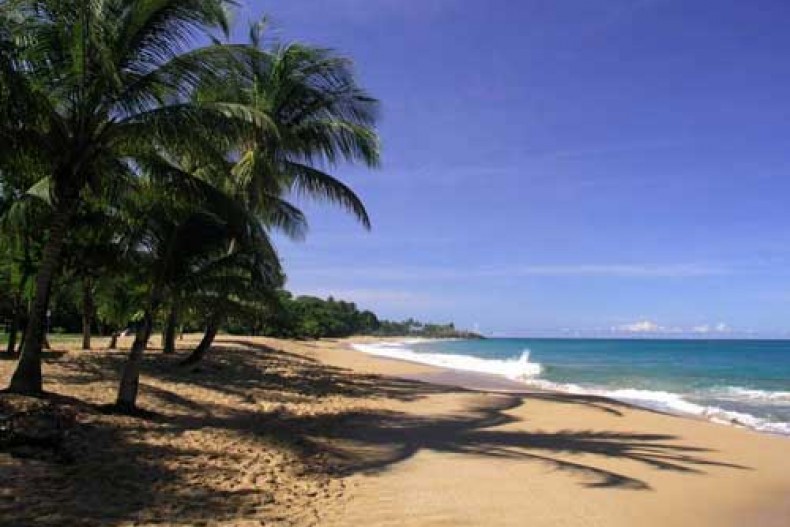 plage de la perle à 200 m, sable fin doré