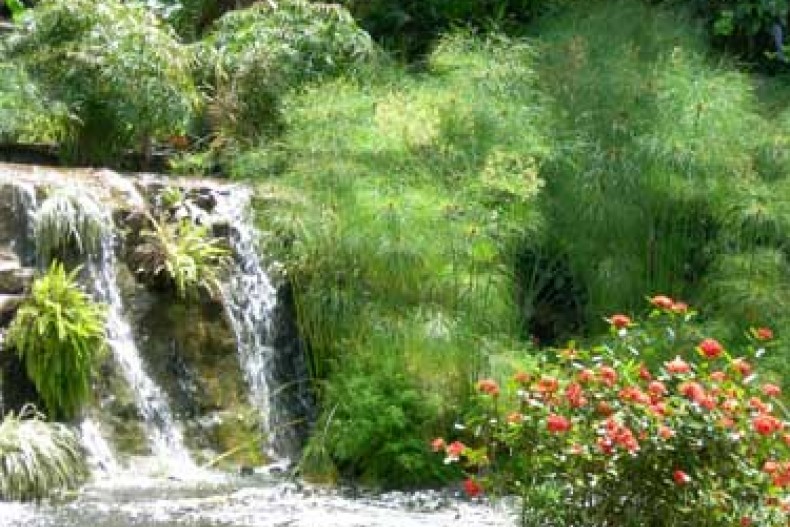 Villa du Jardin Botanique 19.jpg