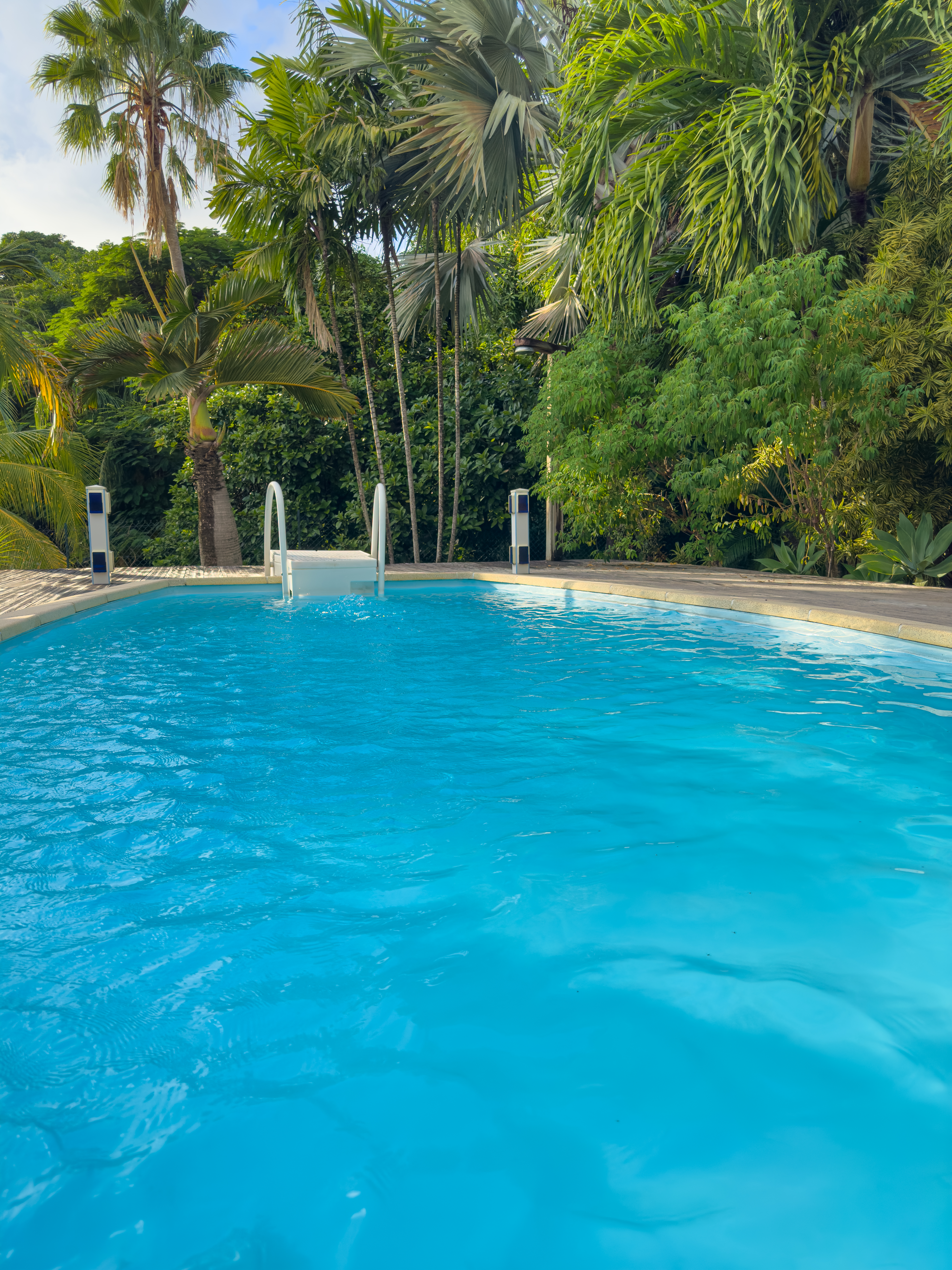 Villa Fleurs du Bonheur - Piscine