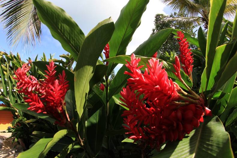 Villa Ti-Jimo 18169_TJ2015-018.JPG