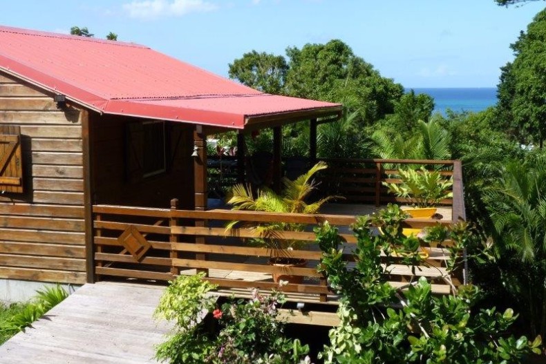 Kaz Luciole new-2.jpg