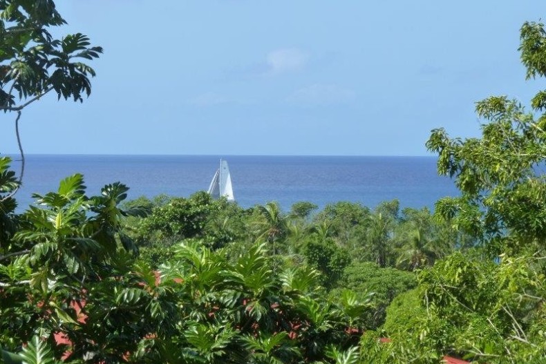 Kaz Luciole new-4.jpg