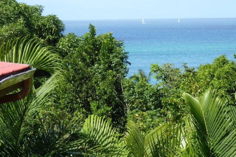 Kaz Luciole new-6.jpg