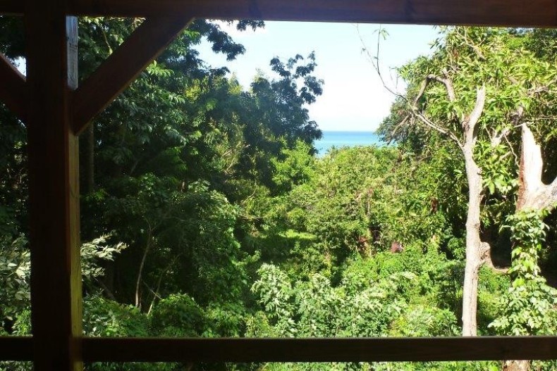 Kaz Luciole terr-2.jpg