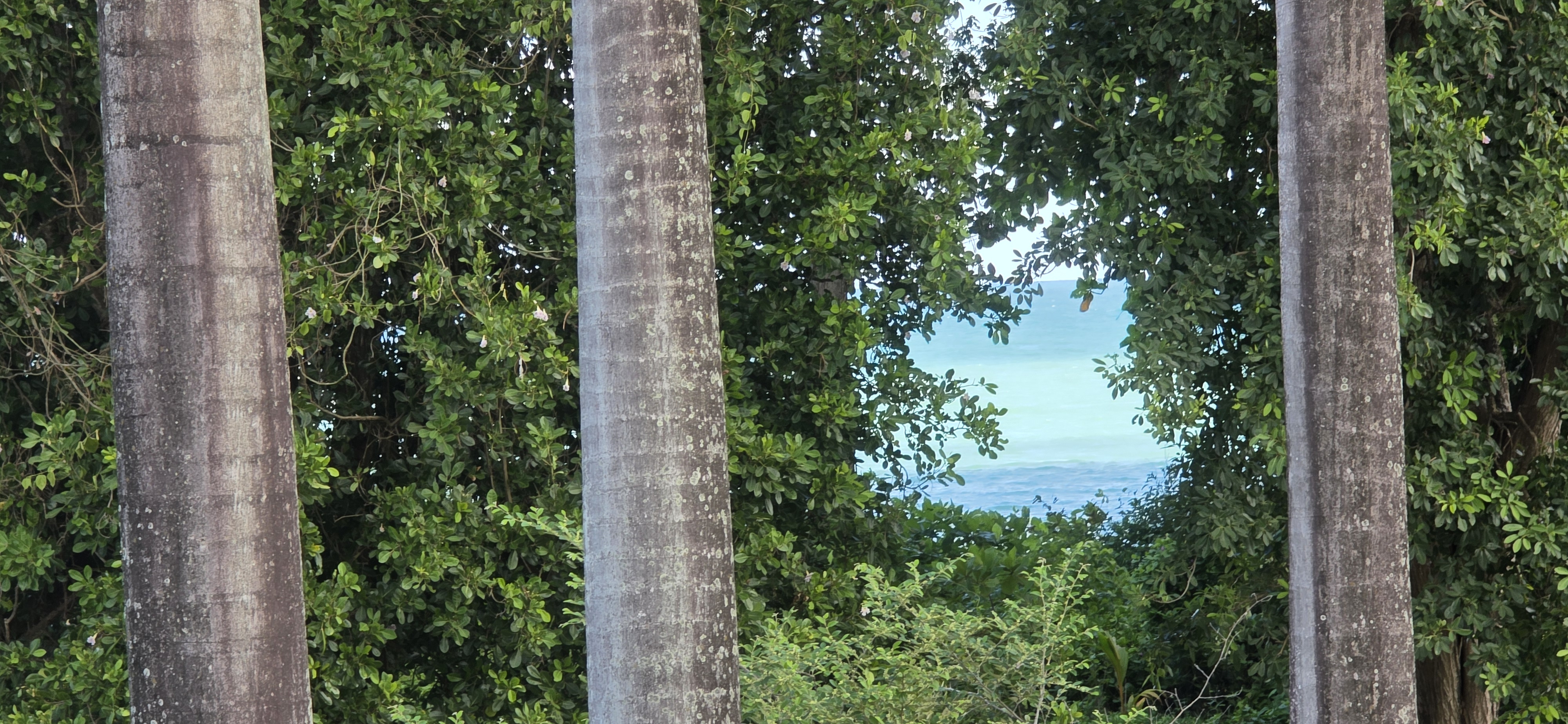 Villa Constable 19153_23.jpg