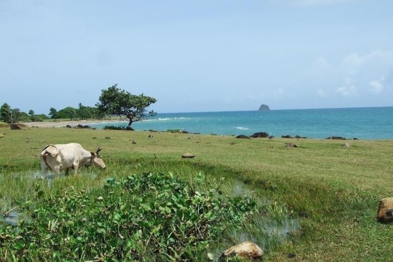 Villa Constable mer1.jpg