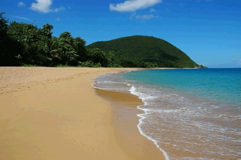 La plage de Grande Anse à 350m de la propriété 