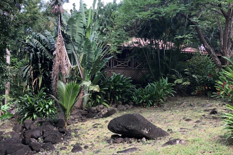 Végétation tropicale côté entrée 