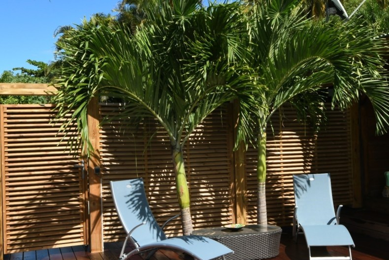 Kaz Manga Verte 13.jpg