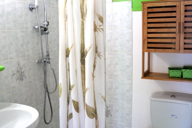 Kaz Manga Verte DSCN2672.JPG