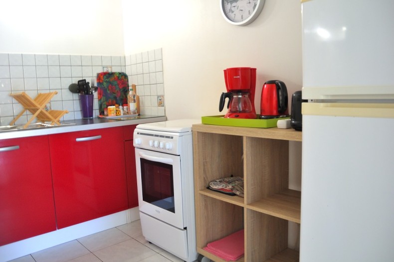 Kaz Manga Verte DSCN2674.JPG