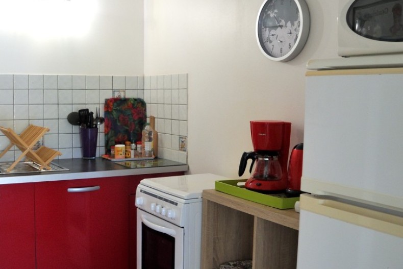 Kaz Manga Verte DSCN2676.JPG