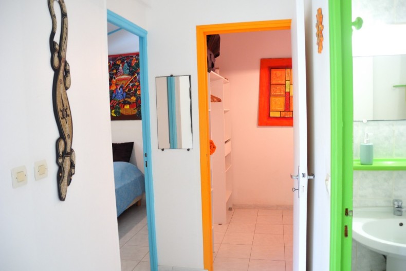 Kaz Manga Verte DSCN2678.JPG