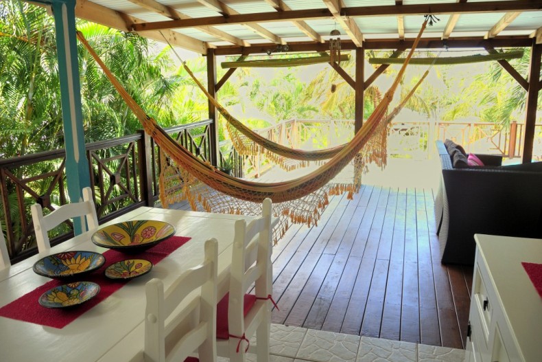 Kaz Manga Verte DSCN2680.JPG