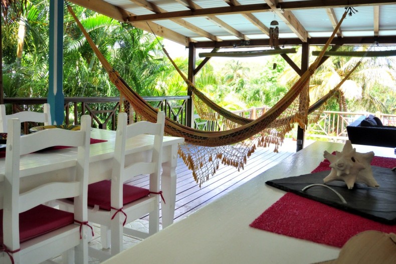 Kaz Manga Verte DSCN2682.JPG