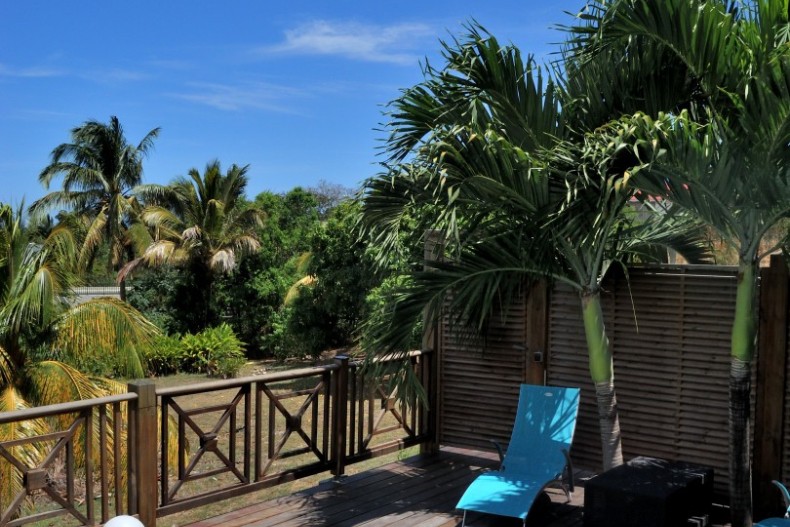 Kaz Manga Verte DSCN2695.JPG