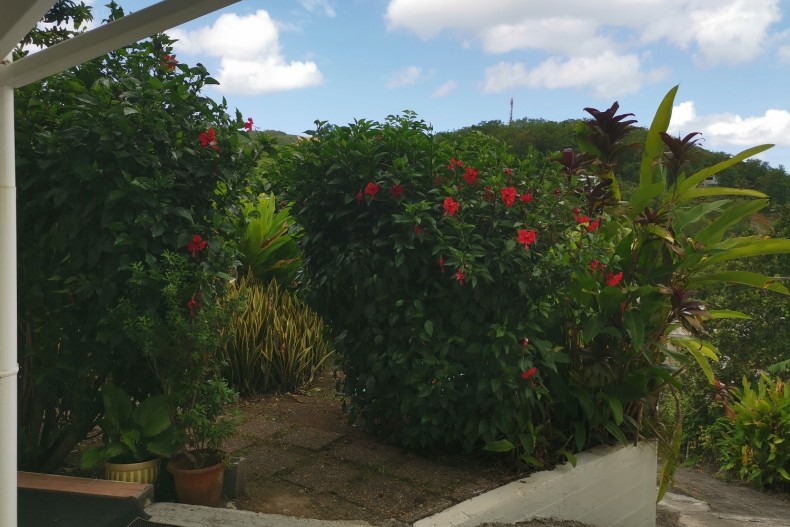 Hibiscus 1 à 8 pers adin3.jpg