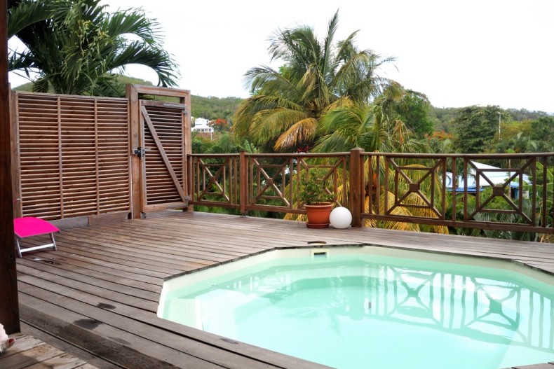 Kaz Manga Rose DSCN2707.JPG