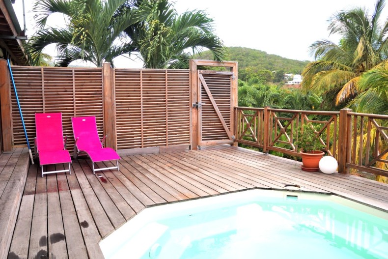 Kaz Manga Rose DSCN2708.JPG