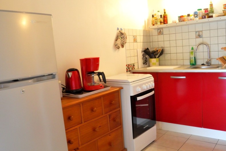 Kaz Manga Rose DSCN2717.JPG