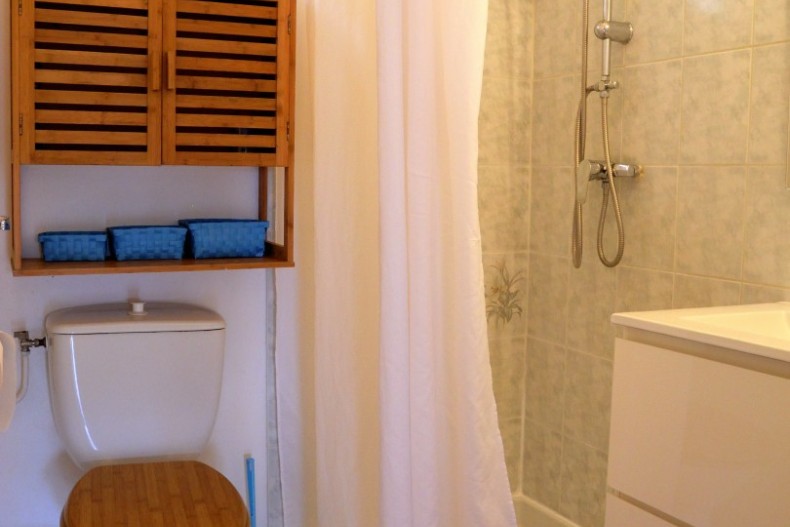 Kaz Manga Rose DSCN2718.JPG