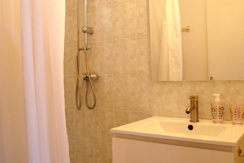 Kaz Manga Rose DSCN2719.JPG