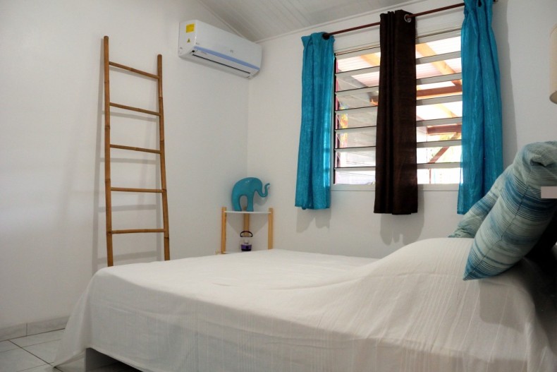 Kaz Manga Rose DSCN2720.JPG