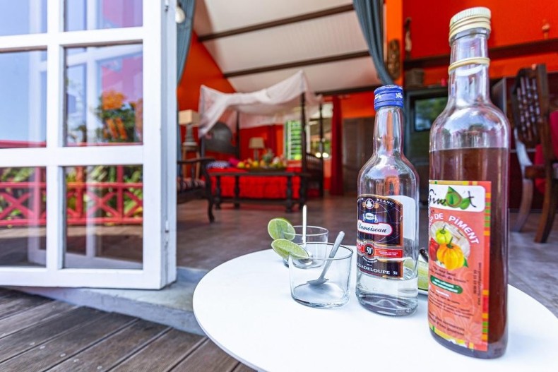 Villa Le Plessis  18026_412038-7_5355_10a11dab971c2658503910479fc45e2e.jpg