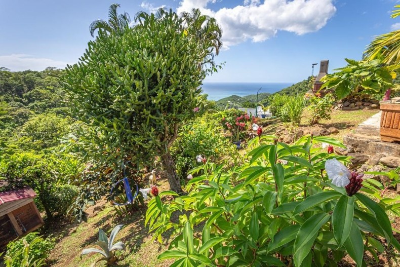 Bungalow Papillon 17860_412160-16_6338_a34bec2624facf847d576c4c84867629.jpg