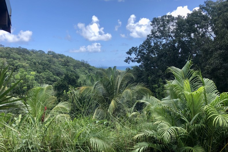 Le Palmier Royal 18048_IMG_0487.jpg