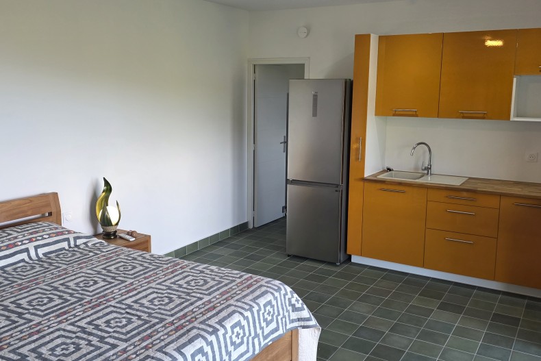 Chambre avec petite cuisine (studio)