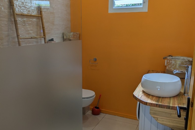 Balisier Orange  18097_PXL_20230223_134638742.jpg