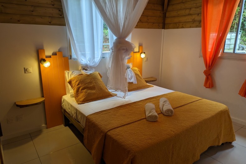 Balisier Orange  18098_PXL_20230223_134711944.jpg