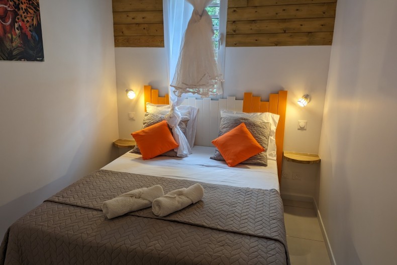 Balisier Orange  18100_PXL_20230223_134836886.jpg