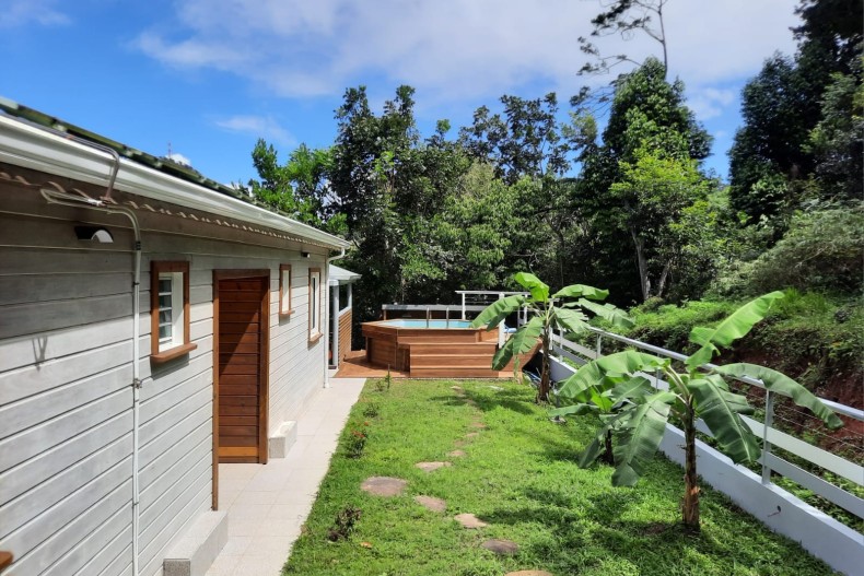 Balisier Orange  18109_IMG-20230220-WA0005.jpg